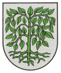 die Stadt Hagenbach